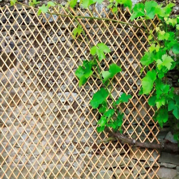 Πέργκολα Πτυσσόμενη από Βέργα Λυγαριάς Αποφλοιωμένη με Φυτά
